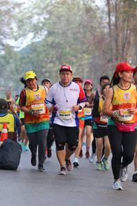 BIB: 8312, 16413, 10705
                            <button type="button" onclick="openModal(10413250)" class="btn btn-primary btn-sm float-right btn-popup" data-toggle="modal" data-target=".modal-high-quality">
                        <i class="fas fa-shopping-cart"></i> Add to Cart
                    </button>
                                            <button type="button" onclick="isThisMe(10413250, true)" class="btn btn-success btn-sm float-right btn-popup btn-isme hidden" data-toggle="tooltip" data-placement="bottom" title="นี่คือรูปของคุณใช่ไหม คลิกที่นี่เพื่อเอาเข้าอัลบั้ม">
                        <i class="fas fa-plus"></i> Add to album
                    </button>
                    <button type="button" onclick="isThisMe(10413250, false)" class="btn btn-warning btn-sm float-right btn-popup btn-isnotme hidden">
                        <i class="fas fa-ban"></i> Remove from album
                    </button>